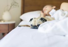 Putujete sa ljubimcem? Ovo su pet friendly smještaji u BiH