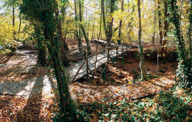 Japodski otoci