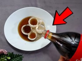 Uzmite ljuske od jaja, običnu KOLU i sačuvajte ovaj domaći trik: Koristim ga godinama i preporučujem svima