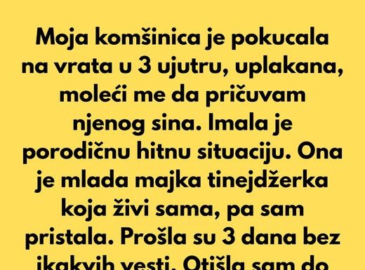 Moja komšinica je pokucala na vrata u 3 ujutru, uplakana, moleći me da pričuvam njenog sina. Moja komšinica je pokucala na vrata u 3 ujutru, uplakana, moleći me da pričuvam njenog sina. - featured image
