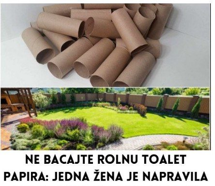 Ne bacajte rolnu toalet papira: Jedna žena je napravila čudo – i svi će ovog proleća posmatrati njeno dvorište Ne bacajte rolnu toalet papira: Jedna žena je napravila čudo – i svi će ovog proleća posmatrati njeno dvorište - featured image